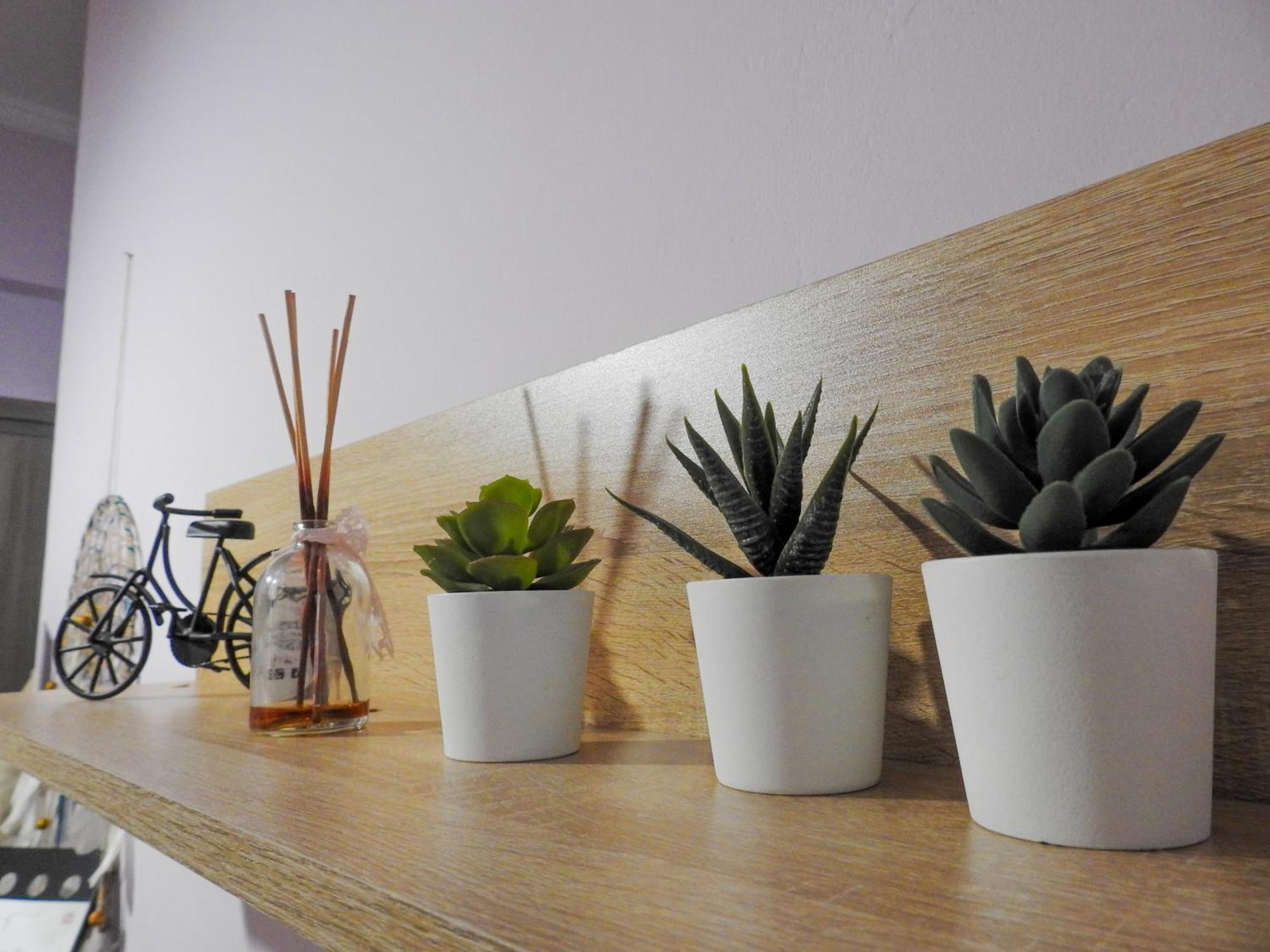 Apartment Art House